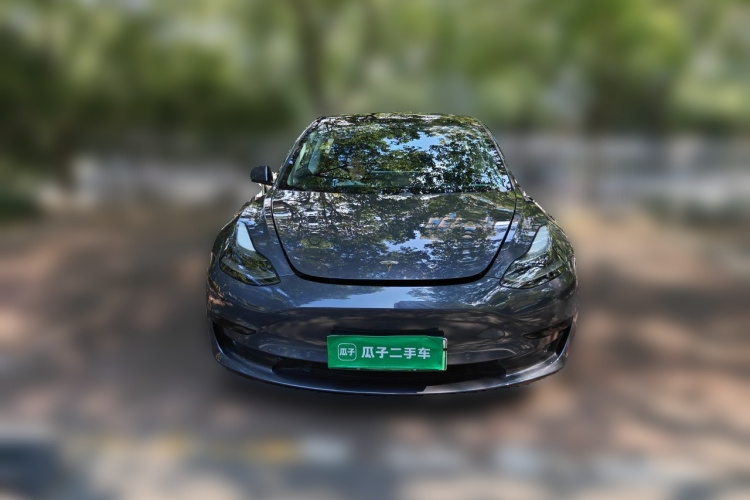 Tesla Model 3 2021 #3 Tesla Model 3 2021 immagine di auto #3
