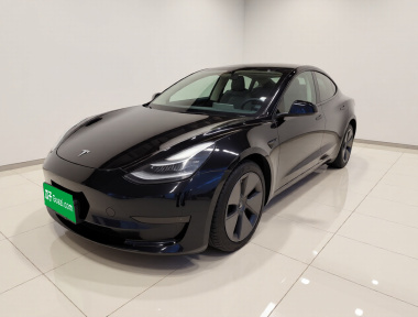 Tesla Model 3 2022 Tesla Model 3 2022 immagine di auto