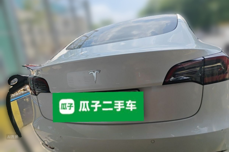 Tesla Model 3 2022 car image #6