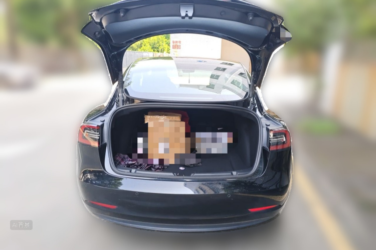 Tesla Model 3 2021 car image #21