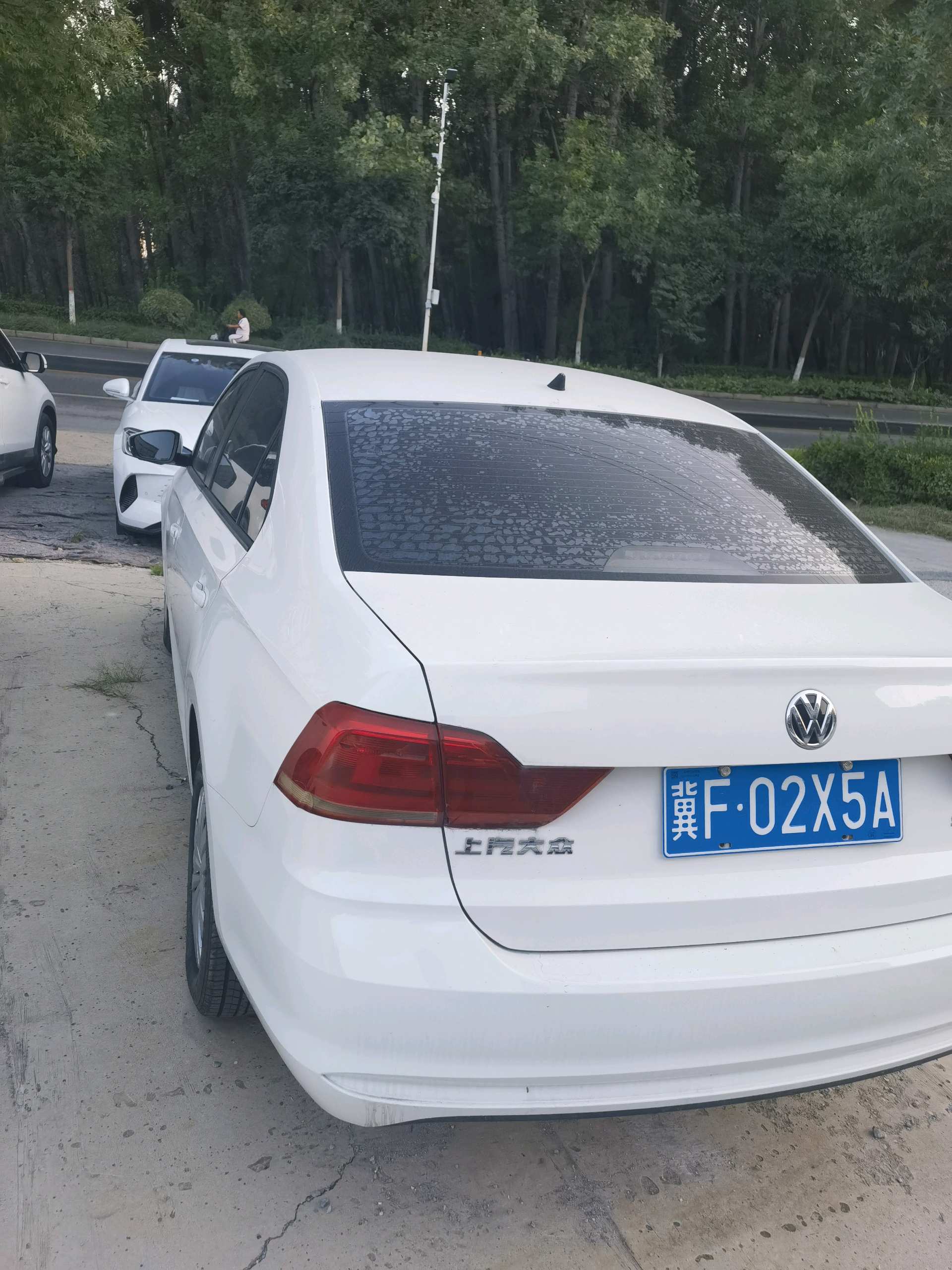 Volkswagen Santana 2019 immagine di auto #6