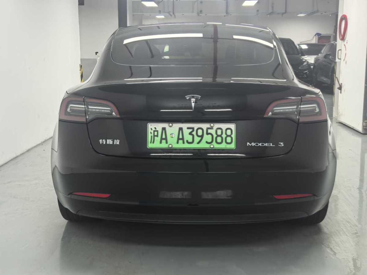 Tesla Model 3 2021 #9 Tesla Model 3 2021 car image #9