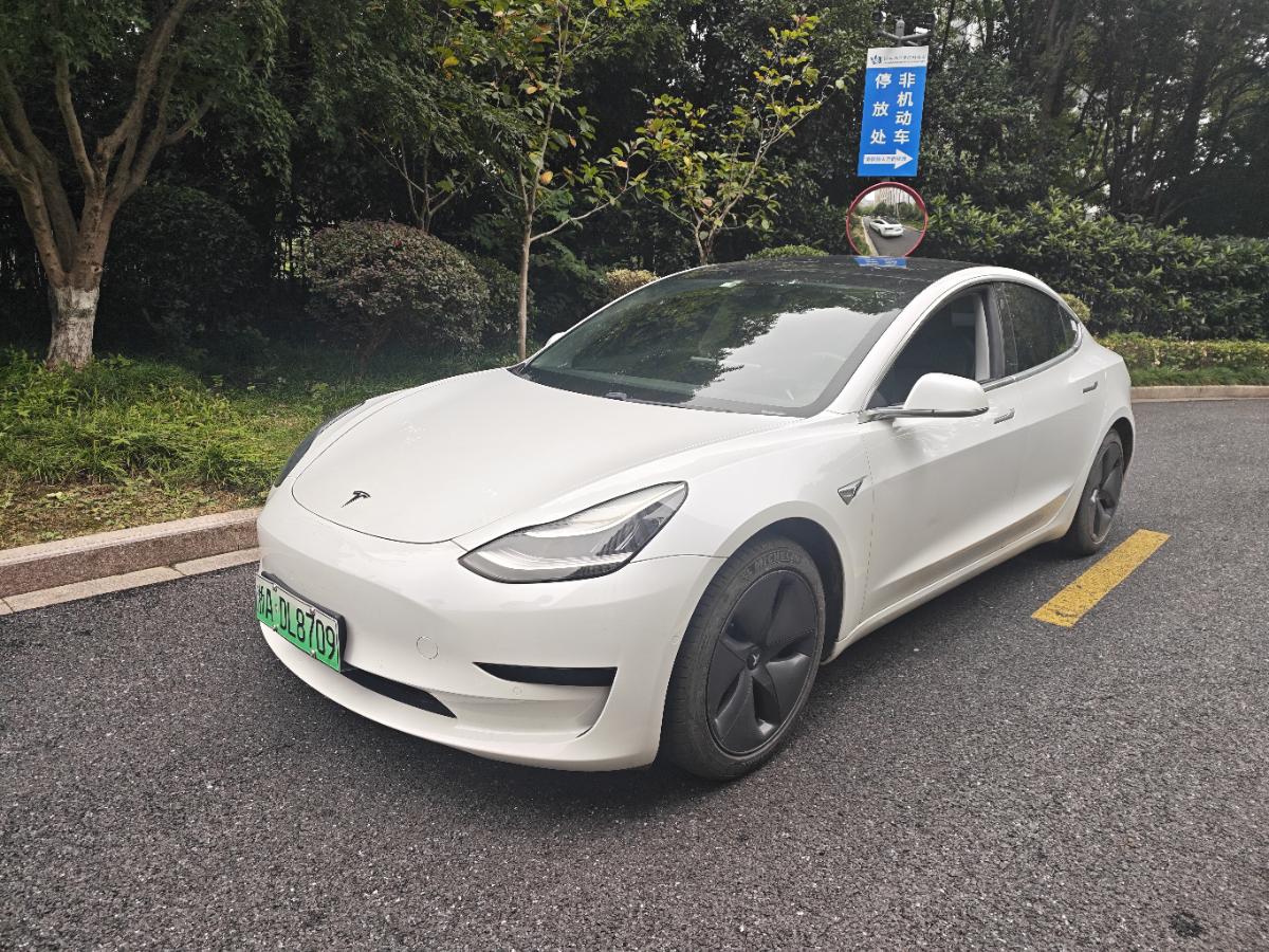 Tesla Model 3 2020 Tesla Model 3 2020 immagine di auto