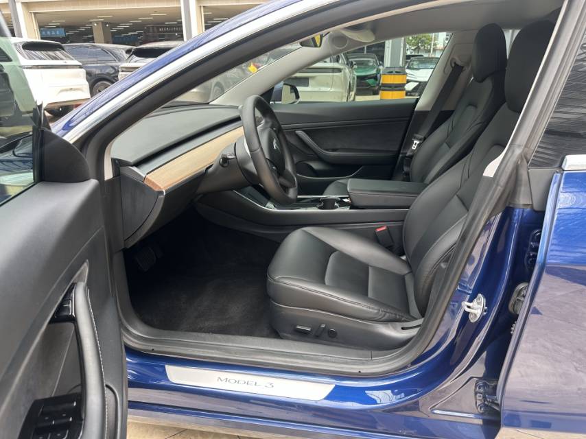 Tesla Model 3 2020 immagine di auto #3