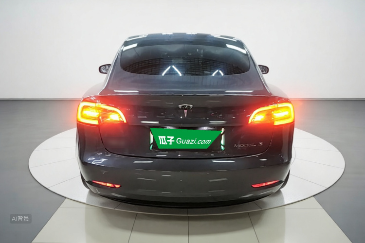 Tesla Model 3 2022 car image #6