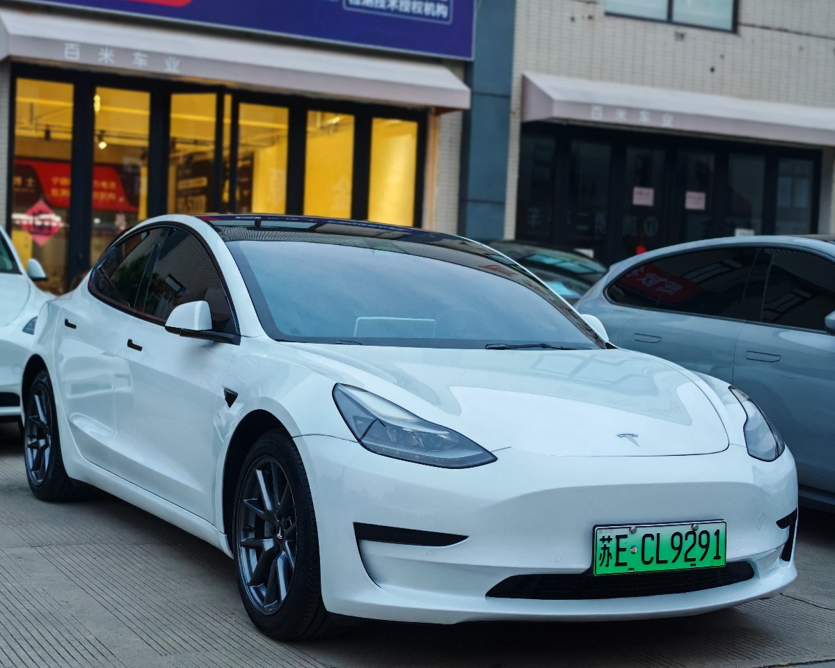 Tesla Model 3 2021 #3 Tesla Model 3 2021 car image #3