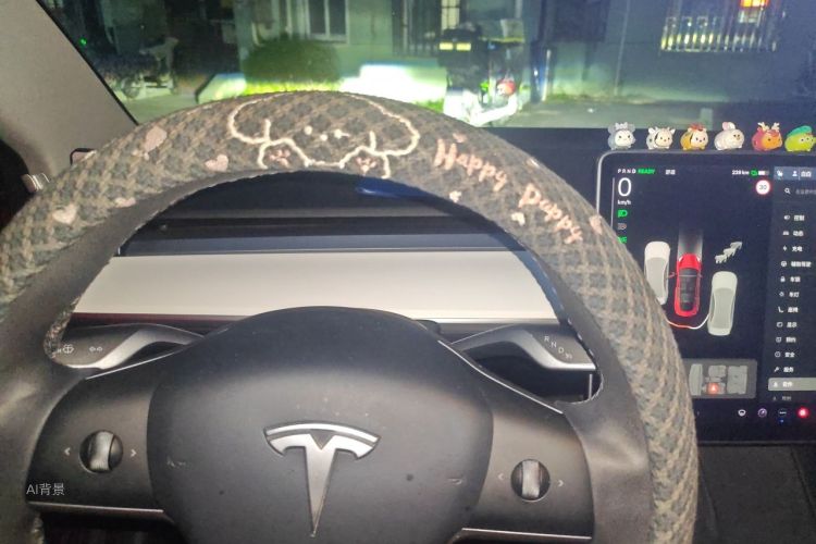 Tesla Model 3 2021 #13 Tesla Model 3 2021 imagen de coche #13