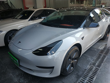 Tesla Model 3 2022 car image 
