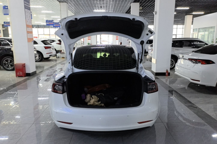 Tesla Model 3 2020 #21 Tesla Model 3 2020 car image #21