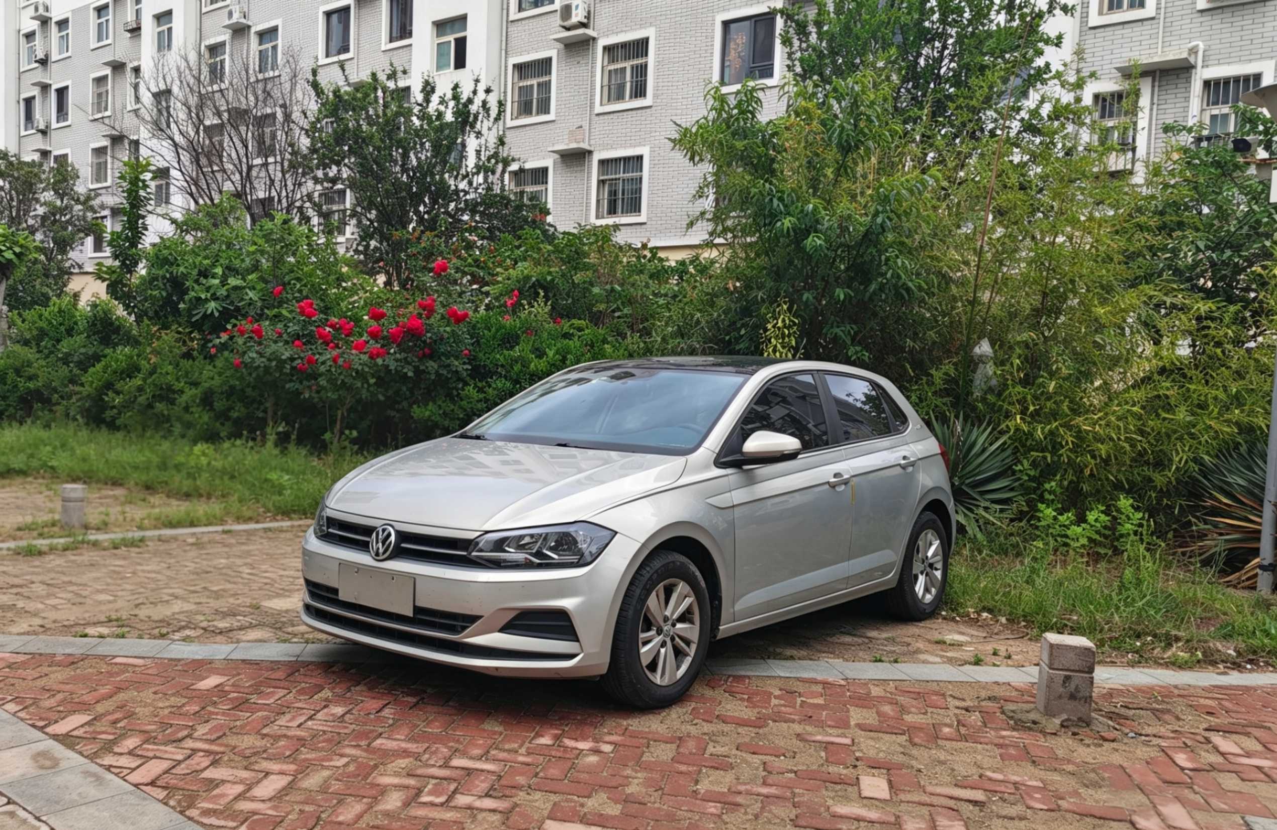 Volkswagen Polo 2020 Volkswagen Polo 2020 immagine di auto
