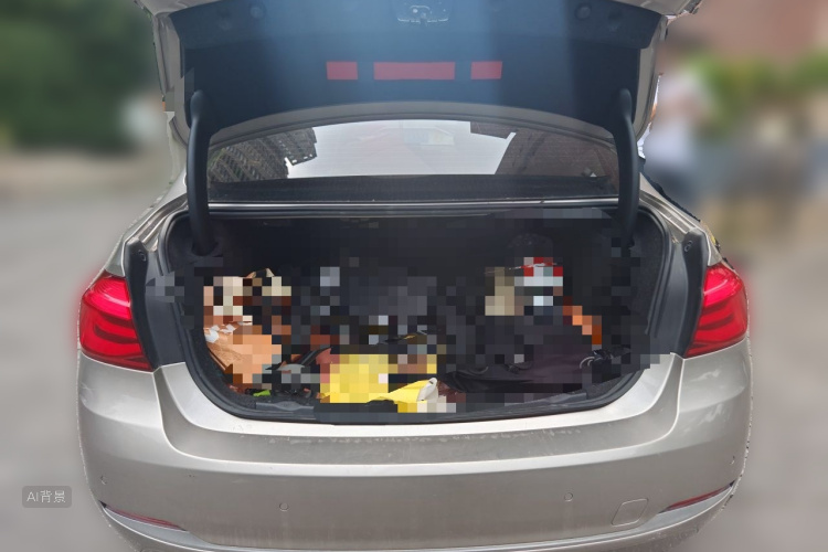 BMW 3 Series 2019 car image #21