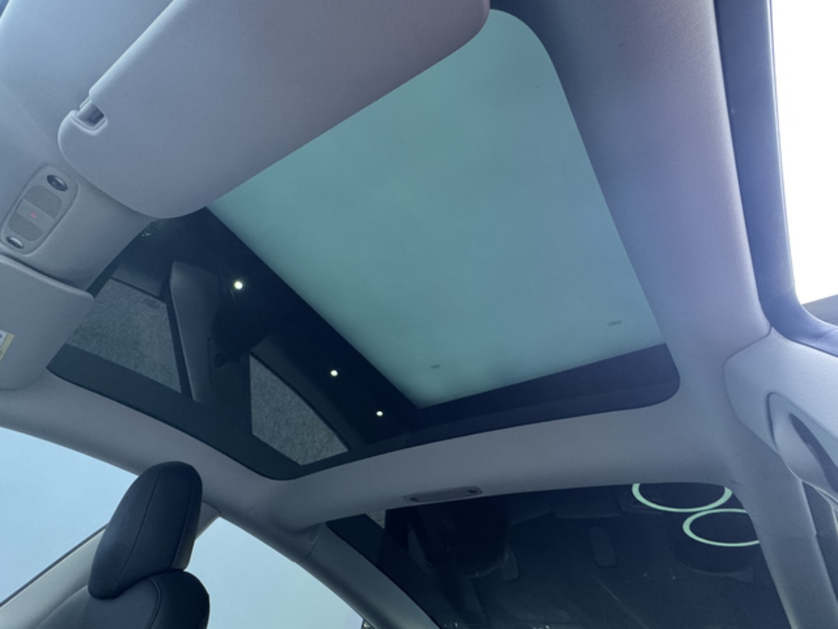 Tesla Model 3 2023 car image #7