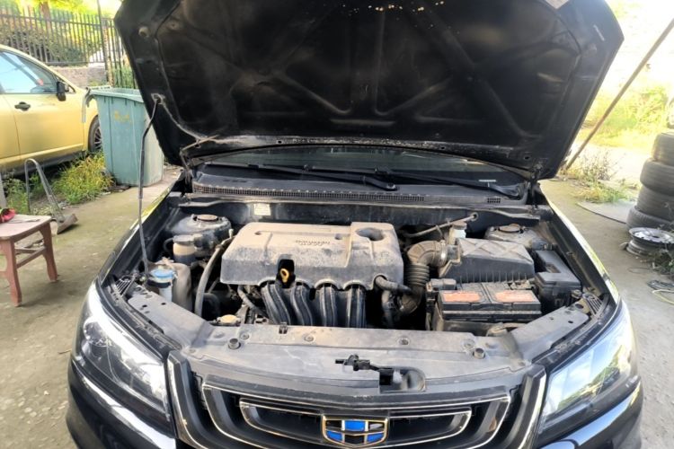 GEELY Emgrand 2017 car image #20