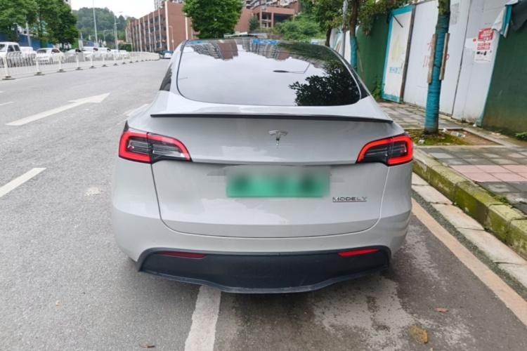 Tesla Model Y 2021 car image #6