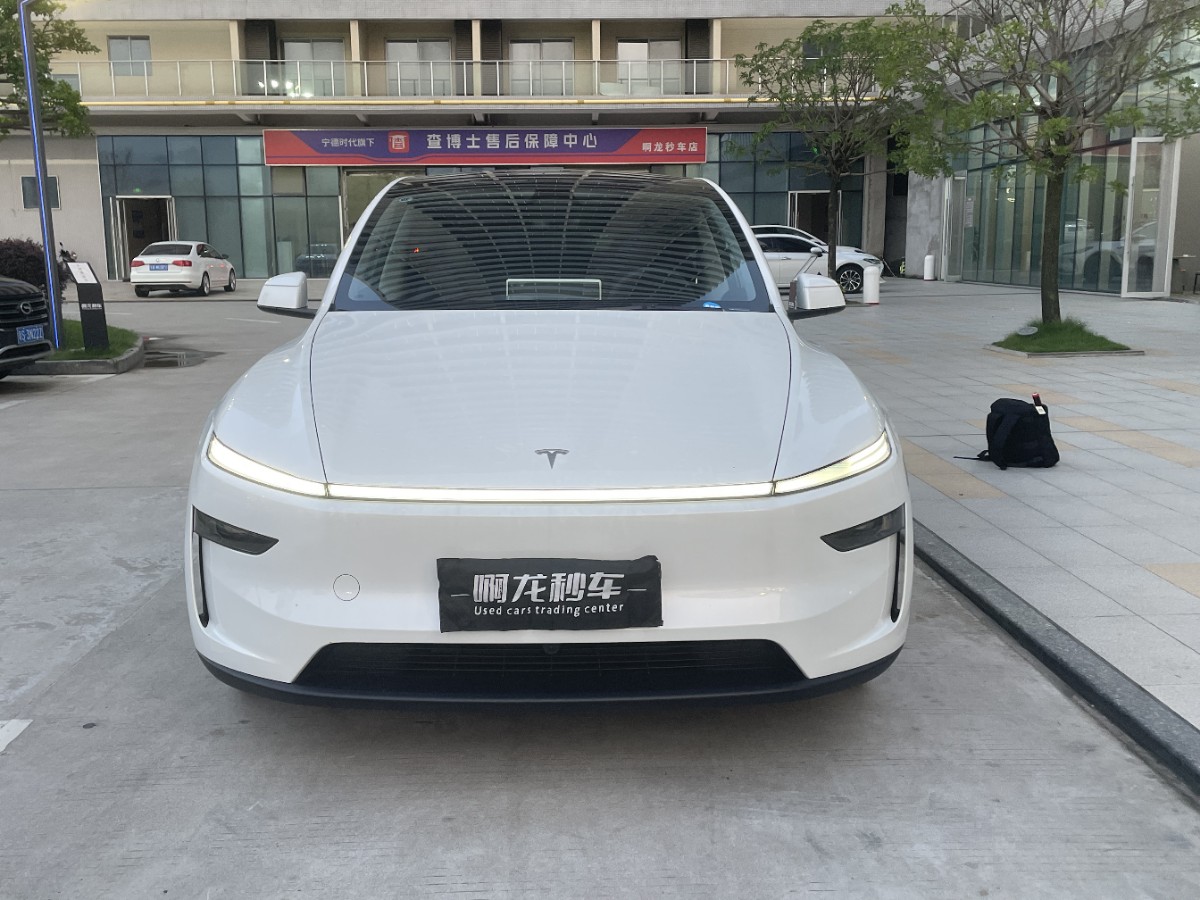 Tesla Model Y 2025 #2 Tesla Model Y 2025 immagine di auto #2
