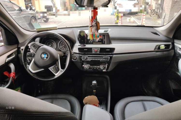 BMW X1 2016 car image #11
