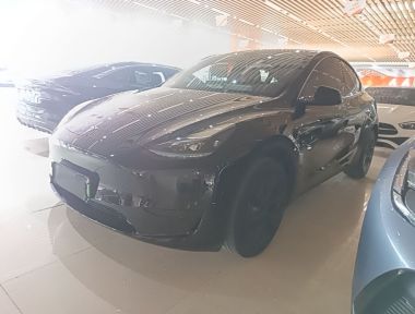 Tesla Model Y 2024 Tesla Model Y 2024 car image