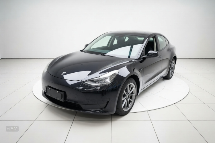 Tesla Model 3 2022 #2 Tesla Model 3 2022 car image #2