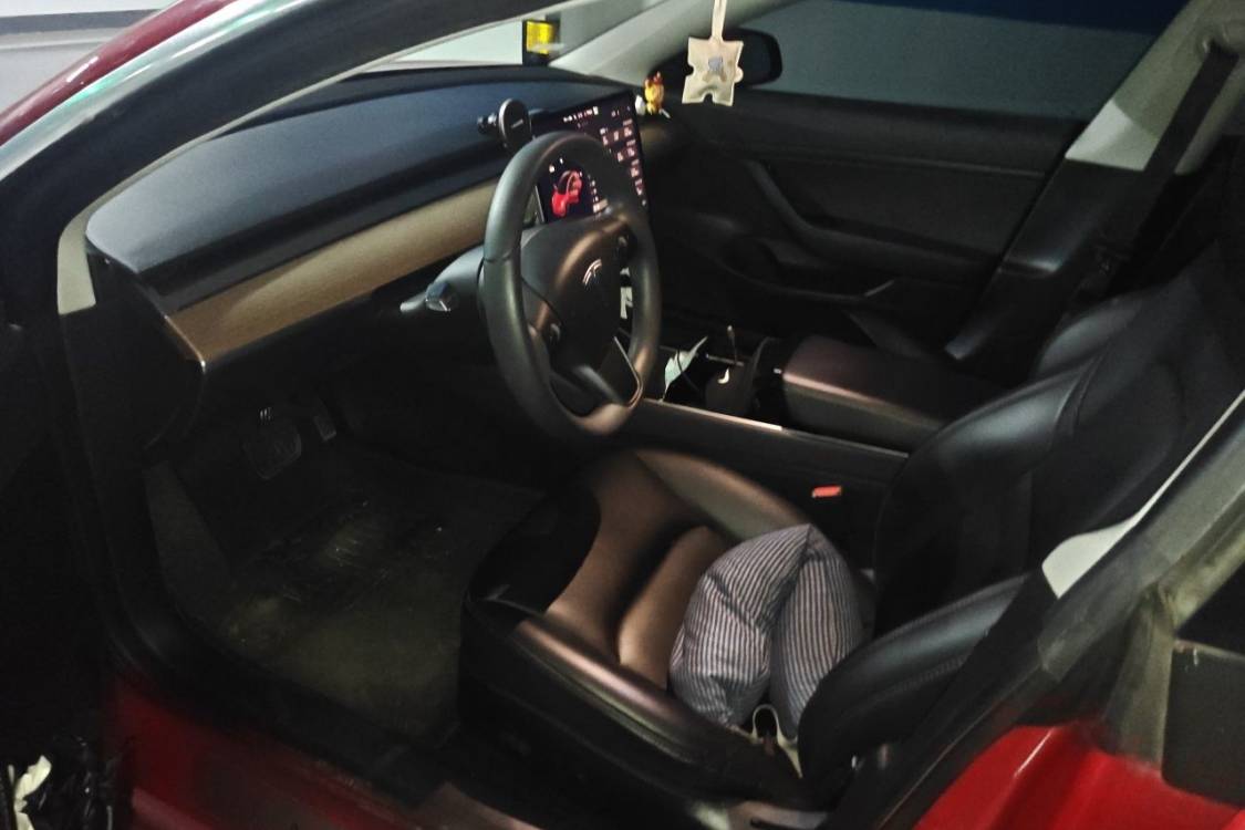 Tesla Model 3 2020 immagine di auto #23