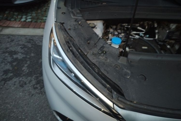 BYD Yuan Plus 2025 car image #24