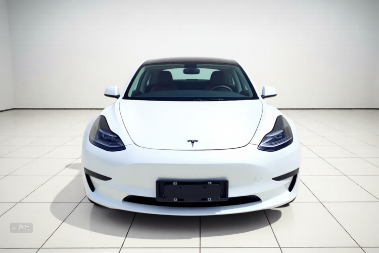 Tesla Model 3 2021 #3 Tesla Model 3 2021 car image #3