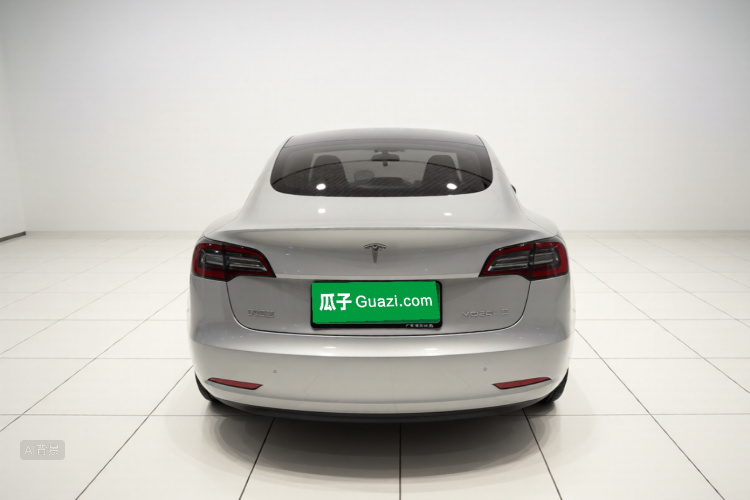Tesla Model 3 2021 car image #6
