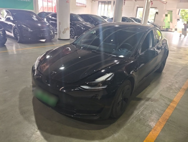 Tesla Model 3 2021 Tesla Model 3 2021 car image