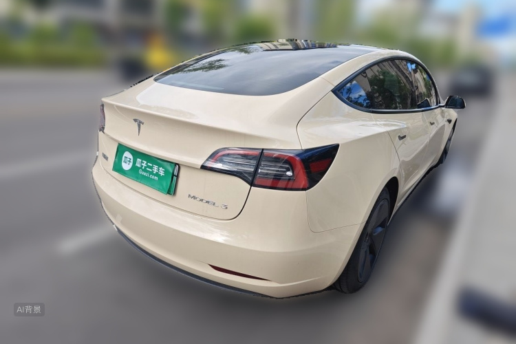 Tesla Model 3 2022 car image #7