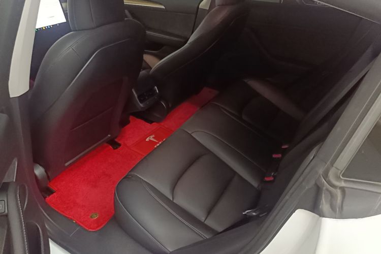 Tesla Model 3 2021 immagine di auto #17
