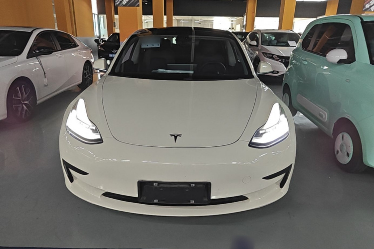Tesla Model 3 2020 #3 Tesla Model 3 2020 car image #3