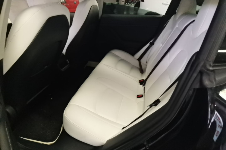 Tesla Model 3 2021 car image #17
