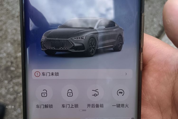 BYD Han 2024 car image #10