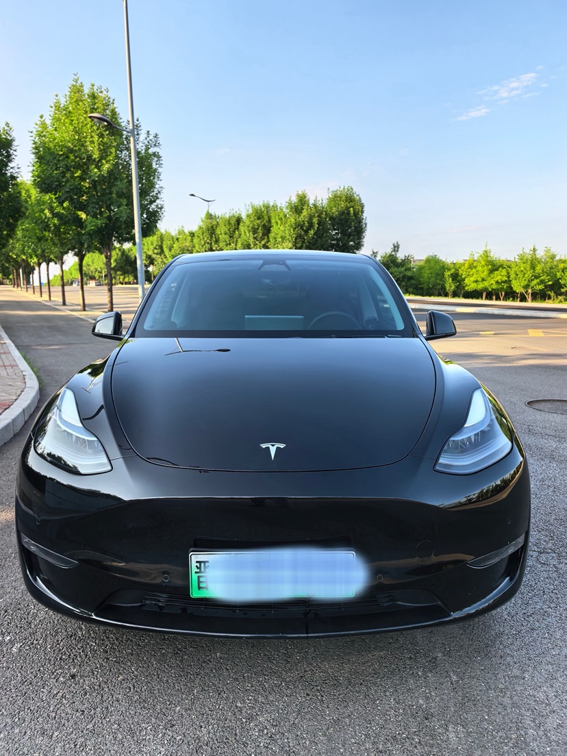Tesla Model Y 2023 #2 Tesla Model Y 2023 car image #2