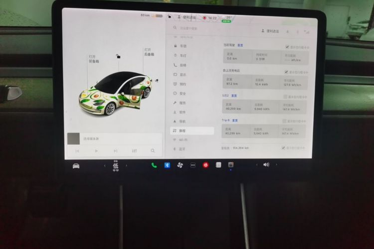 Tesla Model 3 2020 car image #13