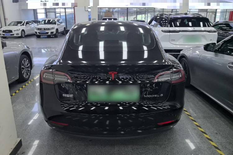 Tesla Model 3 2021 #6 Tesla Model 3 2021 car image #6
