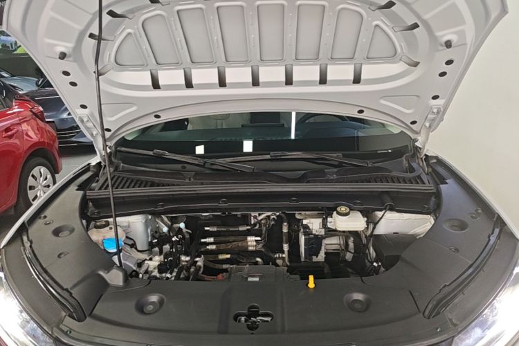 BYD YuanUP 2025 #20 BYD YuanUP 2025 صورة سيارة #20
