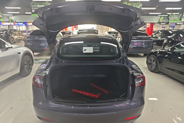 Tesla Model 3 2021 car image #19