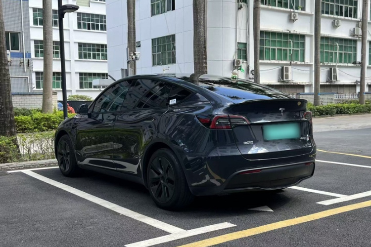 Tesla Model Y 2024 car image #8