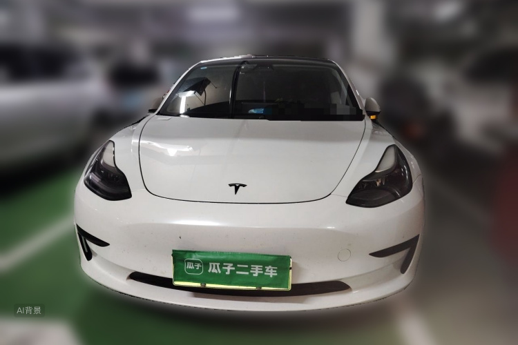 Tesla Model 3 2021 #3 Tesla Model 3 2021 immagine di auto #3