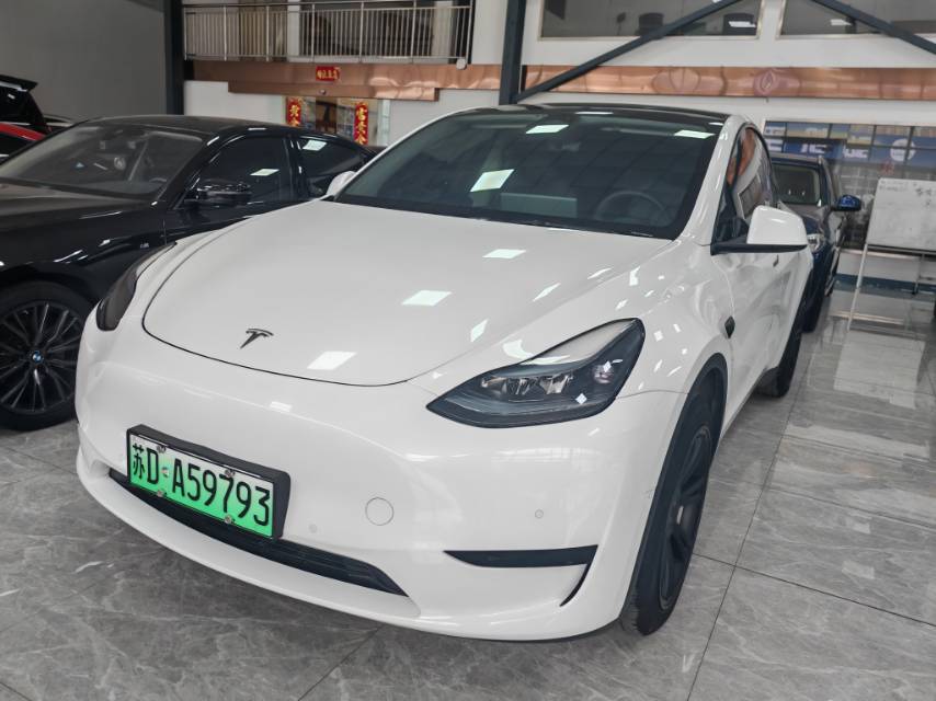 Tesla Model Y 2023 car image 