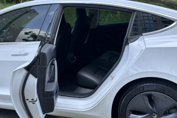 Tesla Model 3 2020 car image #17