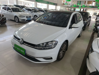 Volkswagen Golf 2019 Volkswagen Golf 2019 car image
