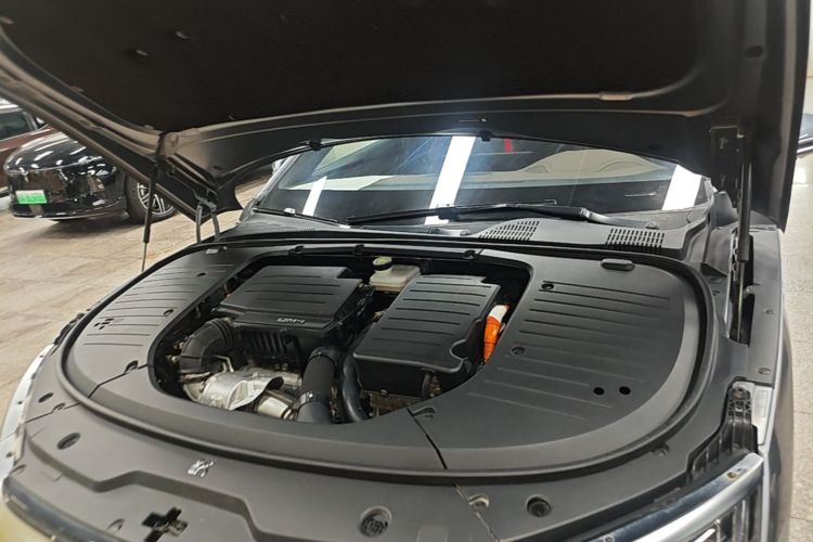 BYD Han 2022 #20 BYD Han 2022 immagine di auto #20