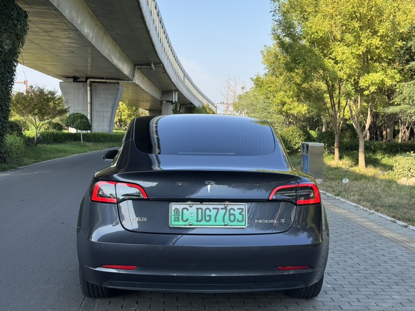 Tesla Model 3 2020 car image #5