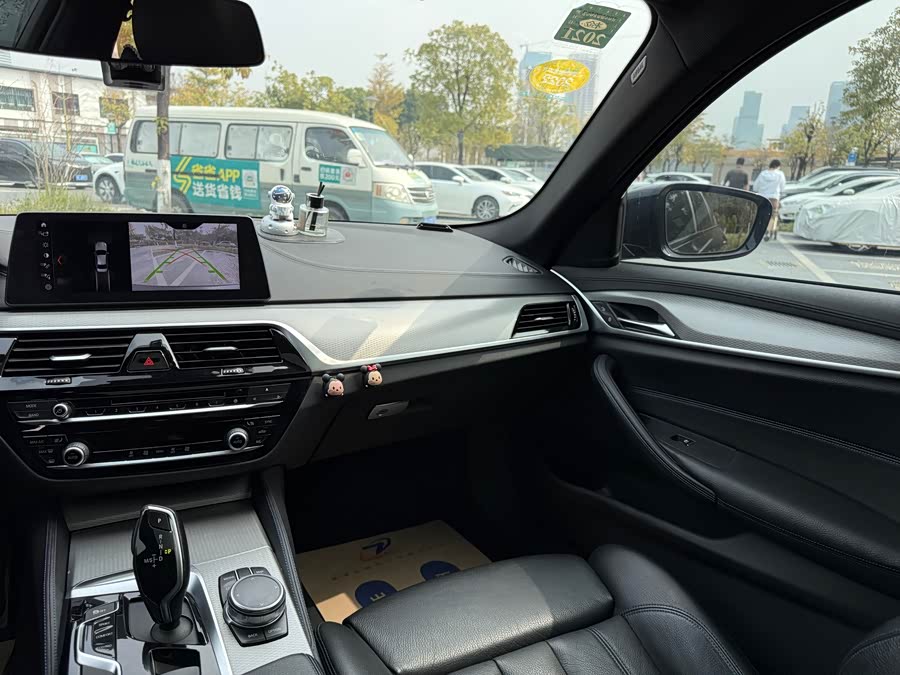 BMW 5 Series (Imported) 2017 car image #10