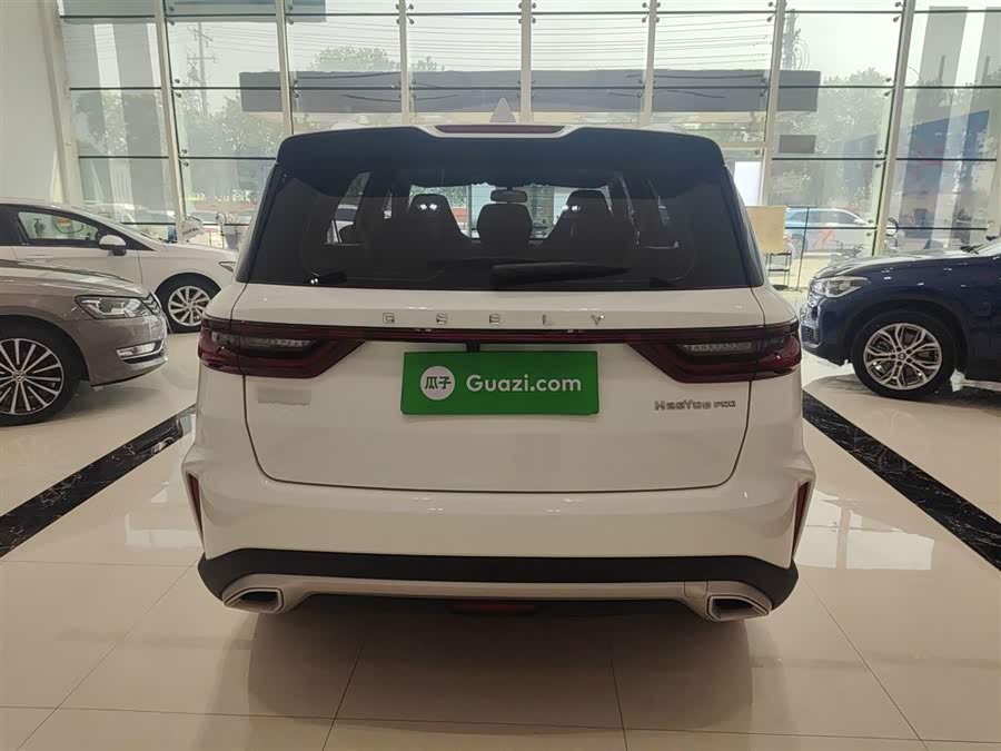 GEELY OkavangoPRO 2023 car image #10