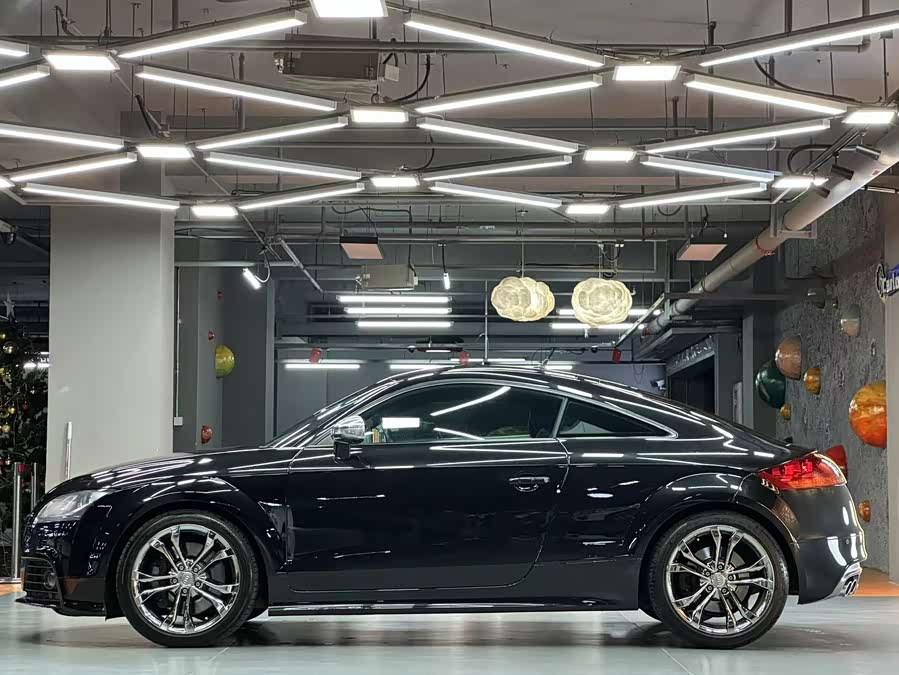 Audi TTS 2009 imagem de carro #10