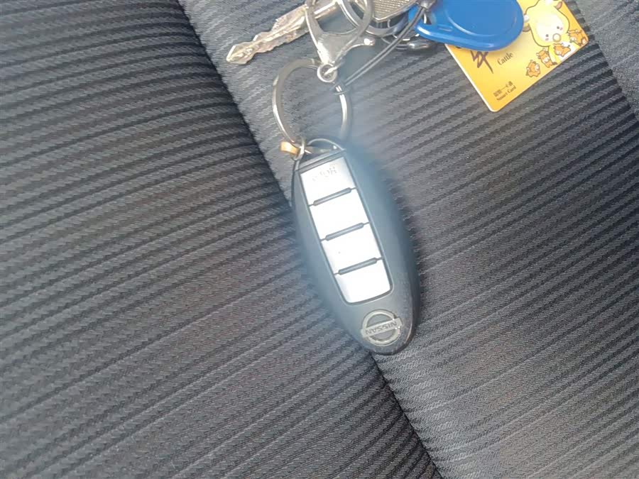 日产 轩逸·纯电 2019 汽车图片 #10