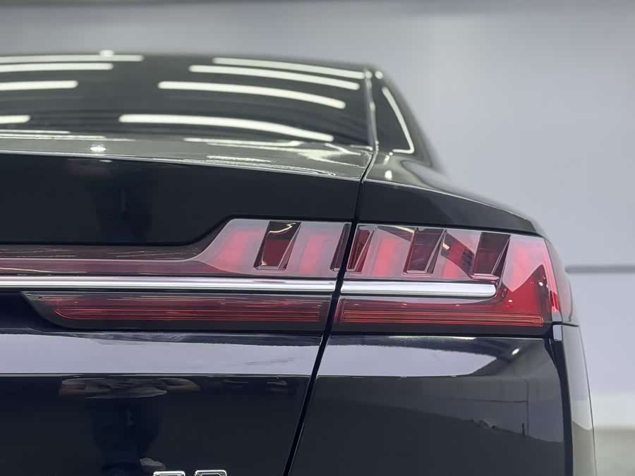 BYD e9 2021 car image #10