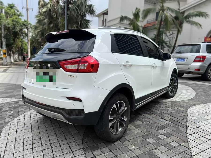 睿蓝汽车 枫叶30X 2020 汽车图片 #10